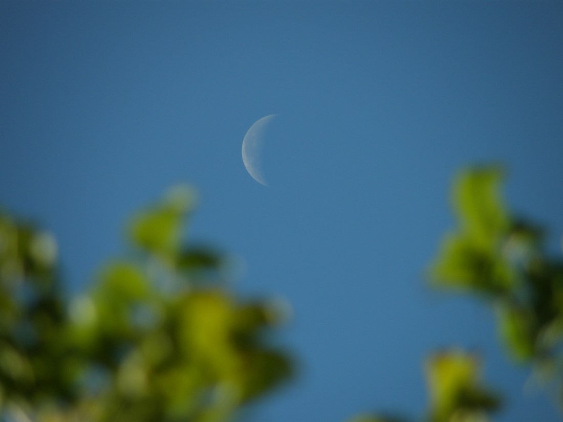 Daytime new moon.jpg